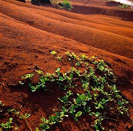 2.5D类魂《笠鬼》EA版今日上线 首发特惠52.2元